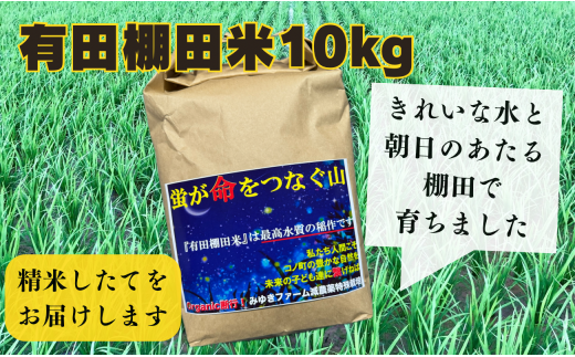 精米したてを生産農家から直送 有田棚田米10kg みゆきファーム