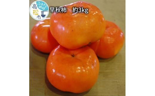 早秋 柿 約3kg[2024-9月中旬〜2024-10月中旬配送]