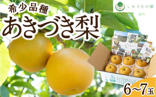 【先行予約】しゅうたの畑 希少品種 あきづき梨 6玉から7玉 2025年9月上旬から9月中旬 出荷予定 535873 - 福岡県うきは市