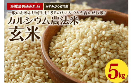 カルシウム農法米 玄米5kg（茨城県共通返礼品・かすみがうら市産） 630616 - 茨城県笠間市