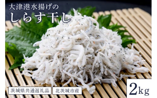 大津港水揚げのしらす干し ２kg（茨城県共通返礼品・北茨城市産） 381534 - 茨城県笠間市