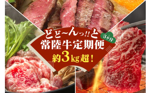 3ヵ月定期便 常陸牛どどーんっ！と定期便 総重量約３kg超え【茨城県共通返礼品】 357775 - 茨城県笠間市