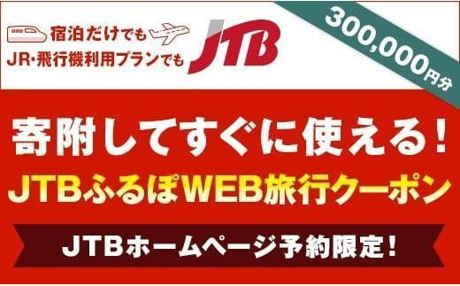 【高松市】JTBふるぽWEB旅行クーポン（300,000円分）