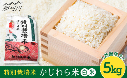 【9月中旬から発送】特別栽培米 かじわら米 新米 白米 5kg＜農事組合法人かじわら＞那珂川市 [GAI002]