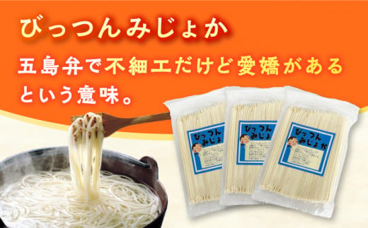 びっつんみじょか 五島手延うどん 300g×4袋 スープ×6袋 【ますだ製麺】