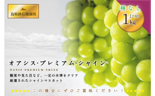 鳥取県北栄町のふるさと納税 ５６３．【先行予約】オアシス・プレミアム・シャイン 1kg（鳥取砂丘地栽培）｜ シャインマスカット 種なし 葡萄 ぶどう 産地直送 フルーツ 果物 甘い 人気 ※2024年8月下旬～11月上旬頃に順次発送予定