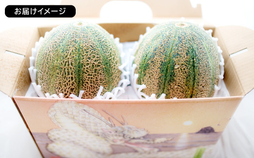 ※お届けイメージ