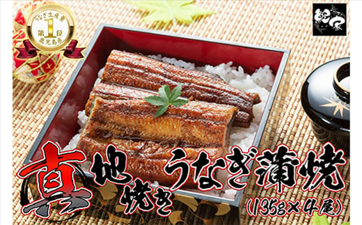 1755-1 【年内配送12月1日入金まで】大人気！鯉家の絶品蒲焼「真地(マジ)焼きうなぎ蒲焼540g(４尾)」【国産・手焼き備長炭】 冬うなぎ 1021845 - 鹿児島県鹿屋市