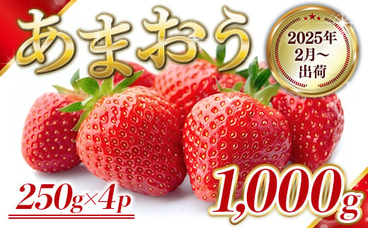 福岡県産 あまおう 1000g　先行予約 2025年2月より順次発送　BA006 1384060 - 福岡県粕屋町