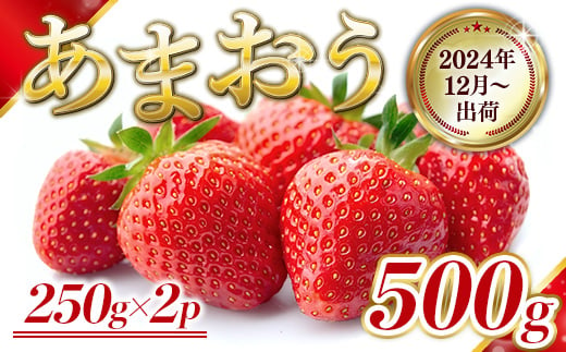 福岡県産 あまおう 500g 先行予約 2024年12月より順次発送　BA001 1384055 - 福岡県粕屋町