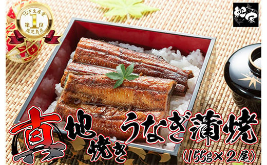 1710-2 【年内配送12月1日入金まで】大人気！鯉家の絶品蒲焼「真地(マジ)焼きうなぎ蒲焼310g(2尾)」【国産・手焼き備長炭】 冬うなぎ 1021797 - 鹿児島県鹿屋市