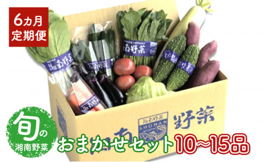 野菜 【6カ月定期便】野菜セット 旬の湘南野菜おまかせセット 12月発送開始  湘南野菜 旬の野菜 ブランド野菜 生野菜 やさい 鮮度 セット 定期便 おまかせ 藤沢市 1384951 - 神奈川県藤沢市