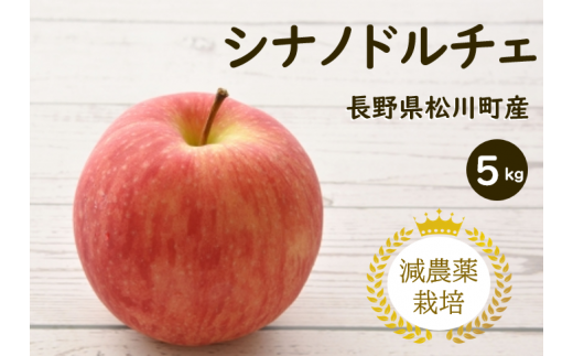 YN13-24A りんご シナノドルチェ 約5kg 減農薬栽培 秀品／9月中旬頃から配送予定