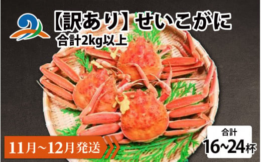 【先行予約】【訳あり】 せいこがに 合計2kg以上（16～24杯）【11月～12月発送】 721001 - 福井県南越前町