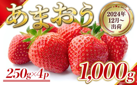 福岡県産 あまおう 1000g 先行予約 2024年12月より順次発送　BA002 1384056 - 福岡県粕屋町