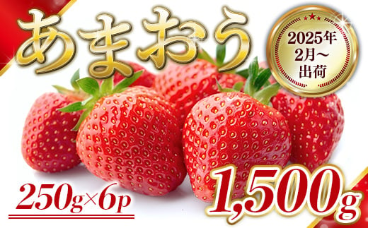 福岡県産 あまおう 1500g　先行予約 2025年2月より順次発送　BA007 1384061 - 福岡県粕屋町