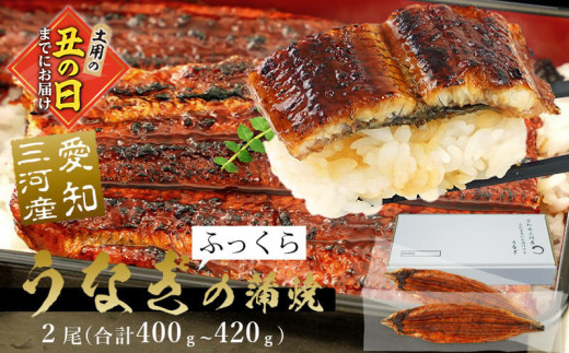 【土用の丑の日までにお届け】三河産超特大 うなぎ蒲焼 2尾(合計約400g～420g)