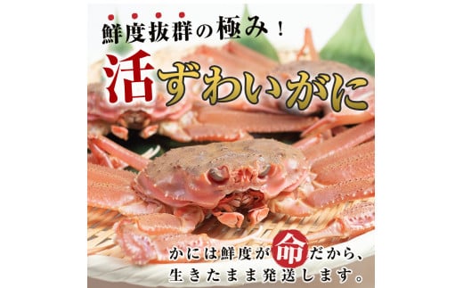 北海道森町のふるさと納税 【訳あり】北海道噴火湾産 活オオズワイガニ1.5kg ＜道産ネットミツハシ＞ かに カニ 蟹 ガニ がに 森町 ふるさと納税 北海道 ずわいがに mr1-0601