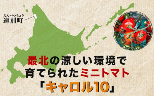 北海道遠別町のふるさと納税 【北限のミニトマト】遠別産ミニトマト（赤のみ1kg）