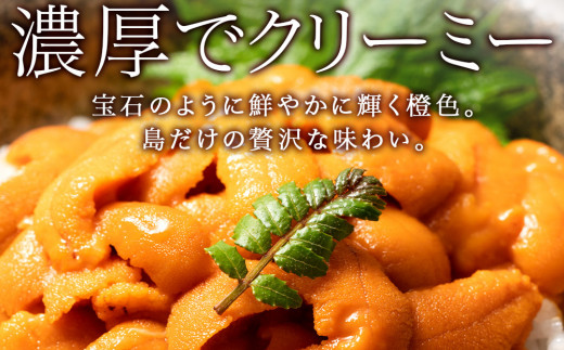 北海道利尻富士町のふるさと納税 【2025年8月発送予約】 エゾバフンウニ 100g (100g×1パック) ＜利尻漁業協同組合＞うに 雲丹 ミョウバン不使用 ウニ バフン