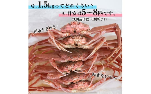 【訳あり】北海道噴火湾産 活オオズワイガニ1.5kg ＜道産ネットミツハシ＞ かに カニ 蟹 ガニ がに 森町 ふるさと納税 北海道 ずわいがに  mr1-0601 - 北海道森町｜ふるさとチョイス - ふるさと納税サイト