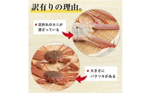 訳あり】北海道噴火湾産 活オオズワイガニ1.5kg ＜道産ネットミツハシ＞ かに カニ 蟹 ガニ がに 森町 ふるさと納税 北海道 ずわいがに  mr1-0601 - 北海道森町｜ふるさとチョイス - ふるさと納税サイト