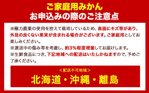 和歌山県日高町のふるさと納税 ＜先行予約＞家庭用 超熟 有田 みかん 5kg+150g（傷み補償分）【わけあり・訳あり】【光センサー選果】池田鹿蔵農園@日高町（池田農園株式会社）《11月上旬-12月末頃出荷》和歌山県 日高町【配送不可地域あり】みかん 有田みかん