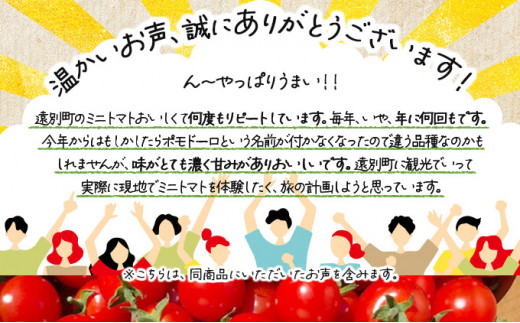 北海道遠別町のふるさと納税 【北限のミニトマト】遠別産ミニトマト（赤のみ1kg）