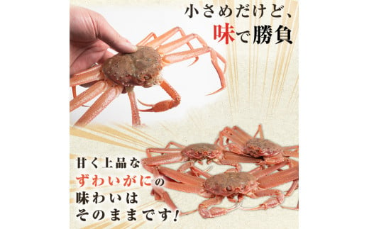 北海道森町のふるさと納税 【訳あり】北海道噴火湾産 活オオズワイガニ1.5kg ＜道産ネットミツハシ＞ かに カニ 蟹 ガニ がに 森町 ふるさと納税 北海道 ずわいがに mr1-0601