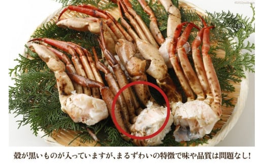 大人気！リピーター続出 まるずわいがに 肩脚肉 総重量2kg (6-10肩相当) [カネダイ 宮城県 気仙沼市 20563326] かに カニ  かに物語 まるズワイガニ 丸ずわいがに マルズワイガニ 蟹 ずわい レビューキャンペーン 感想 - 宮城県気仙沼市｜ふるさとチョイス - ふるさと納税  ...