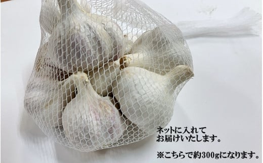 みのり農園の乾燥にんにく 2kg ／ニンニク にんにく 乾燥にんにく 乾燥ニンニク【mnr106】 - 和歌山県古座川町｜ふるさとチョイス -  ふるさと納税サイト