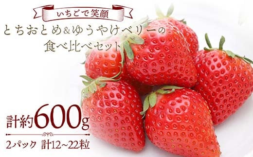 【いちごで笑顔】とちおとめ＆ゆうやけベリーの食べ比べセット 約300g×2パック プレミアムいちご 苺 食べ比べ F20C-984 1499850 - 福島県伊達市