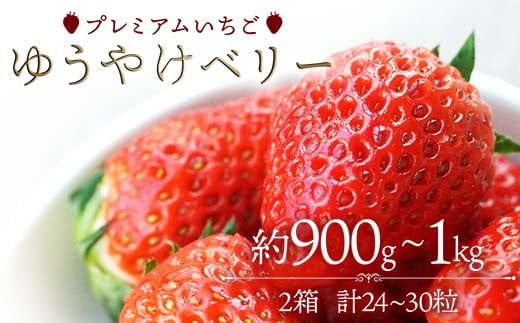 プレミアムいちご ゆうやけベリー 約900g～1kg（24～30粒） F20C-982