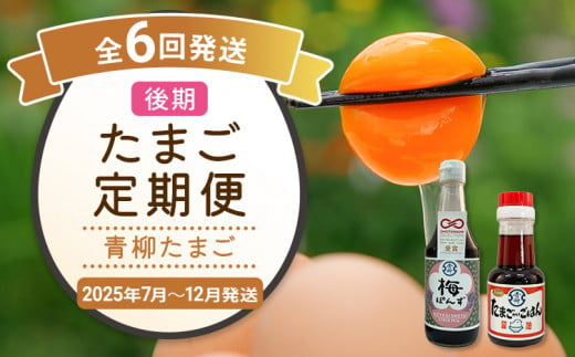 たまご後期定期便 6回発送（初回のみ醤油付き・たまご20個）20個×6回 合計120個 定期便 6ヶ月 卵 おうはん卵 青柳たまご 送料無料 【2025年7月～12月の計6回お届け】 423573 - 福岡県古賀市