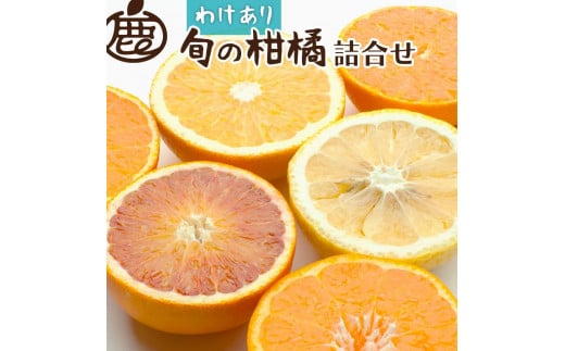 ＜1月上旬～4月下旬発送＞【家庭用】柑橘詰合せ約7kg+210g（傷み補償分）【訳あり・わけあり】【有田の春みかん詰め合わせ・フルーツ詰め合せ・オレンジつめあわせ】【光センサー選別】 1385293 - 和歌山県かつらぎ町