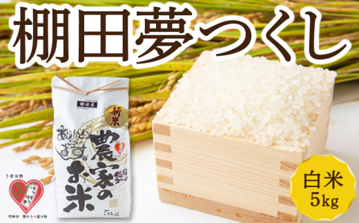 佐藤ファーム 棚田夢つくし 白米5kg 【2026年9月下旬より順次発送予定】 夢つくし こめ お米 コメ ごはん ご飯 送料無料 福岡県 うきは市