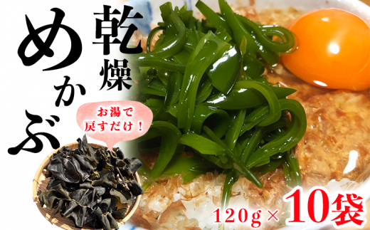 岬だよりのコリコリ食感・粘り抜群の乾燥めかぶ　120g×10袋 835805 - 愛知県南知多町