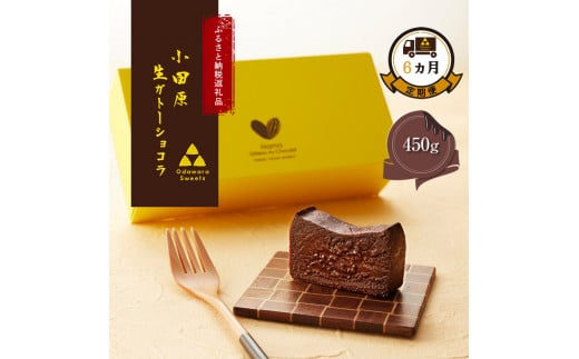 幸せの生ガトーショコラ 450g 定期便6ヶ月【チョコレート 特濃厚 濃密な味わい 極上の口溶け 極上のチョコレート 一流の料理人 チョコレート本来の味わいと甘み カカオの風味やコク カカオ 至極の逸品 神奈川県 小田原市 】 1456459 - 神奈川県小田原市