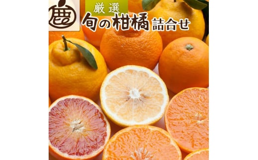 ＜1月上旬～4月下旬発送＞厳選 柑橘詰合せ約2kg+60g（傷み補償分）【有田の春みかん詰め合わせ・フルーツ詰め合せ・オレンジつめあわせ】【光センサー選別】 1385288 - 和歌山県かつらぎ町