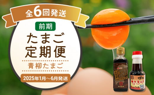 たまご前期定期便 6回発送（初回のみ醤油付き・たまご20個）20個×6回 合計120個 定期便 6ヶ月 卵 おうはん卵 青柳たまご 送料無料 【2025年1月～6月の計6回お届け】 423572 - 福岡県古賀市