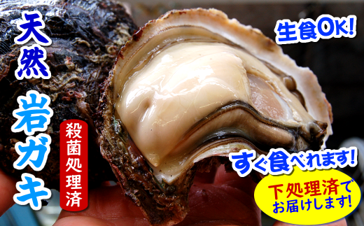 旬もの　山陰の天然岩ガキ詰合せ(大きさにより5～7個入)　牡蠣は下処理してお届けします【1114074】 412766 - 兵庫県新温泉町