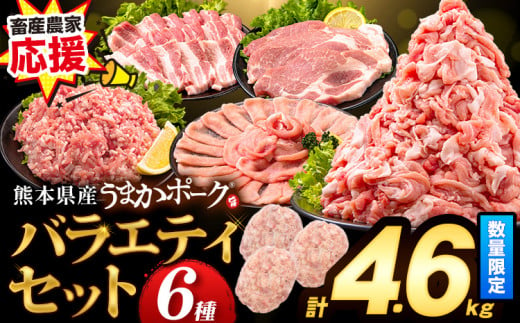 数量限定★生産者応援★ 豚肉 小分け バラエティ セット うまか ポーク しゃぶしゃぶ 切り落とし 豚ロース バラ 豚バラ 豚バラ肉 スライス 4.6kg 4600g 4kg 以上 真空 お楽しみセット 不揃い 数量限定 簡易包装 冷凍配送 [30日以内に出荷予定(土日祝除く)]※2セットは「種類」からお選びください