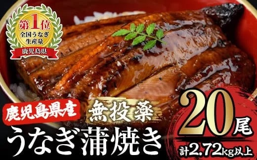 2122 【年内配送12月15日入金まで】【無投薬にこだわったうなぎ】鹿児島県産うなぎ蒲焼20尾【国産】 冬うなぎ 1035451 - 鹿児島県鹿屋市