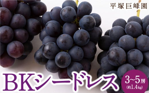 【先行予約】平塚巨峰園 BKシードレス 3房から5房 (約1.4kg) 2025年9月中旬から9月下旬 出荷予定 252951 - 福岡県うきは市