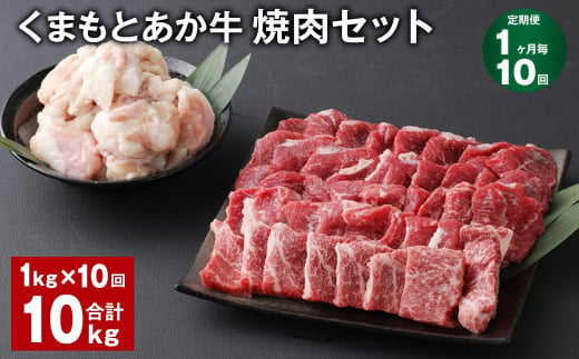 【1ヶ月毎10回定期便】 くまもとあか牛 焼肉セット 計約10kg（約1kg✕10回） 焼肉 もも ホルモン