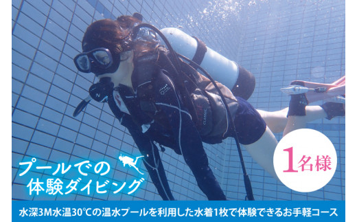 プールでの体験ダイビング（１名）【水中 夏 アクティビティ プール 温水プール ダイビング スポーツ お手軽 体験 マリブ 茨城県 鹿嶋市】（KDA-1） 1385399 - 茨城県鹿嶋市