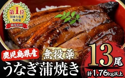 2124 【年内配送12月15日入金まで】【無投薬にこだわったうなぎ】鹿児島県産うなぎ蒲焼13尾【国産】 冬うなぎ 1035453 - 鹿児島県鹿屋市