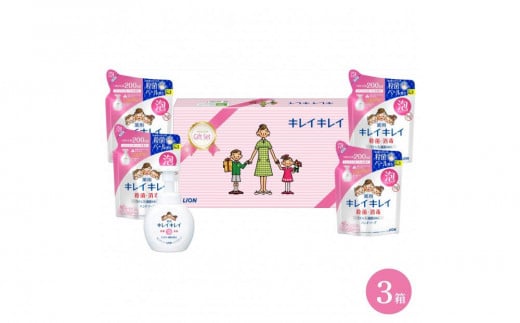 キレイキレイギフトセット Ｄ （3箱セット） ( 薬用泡ハンドソープ 250ml × 1 & 詰替用 200ml × 4 ) ｜ 石鹸 液体石鹸 ハンドソープ セット 3箱 キレイキレイ【キレイキレイ きれいきれい 殺菌 予防 石鹸 人気 ギフトセット 人気日用品 日用品 BA1031】