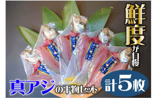 アジの干物セット（Fセット）【一夜干し】 1327954 - 鳥取県米子市