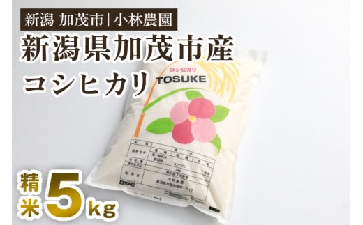 【令和5年産米】加茂市小林農園のコシヒカリ 5kg（5kg×1袋）新潟産コシヒカリ お米 精米 料亭や割烹でも愛される従来品種 加茂市 小林農園 1384248 - 新潟県加茂市